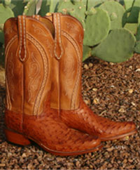 Men's Western Boots | Spur Western Wear